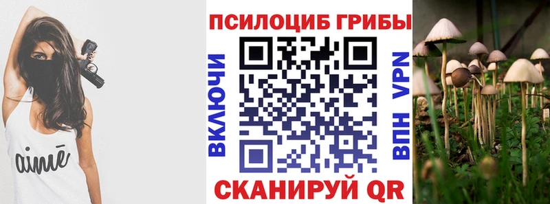 Псилоцибиновые грибы ЛСД  MEGA ССЫЛКА  сайты даркнета какой сайт  как найти наркотики  Ишим 