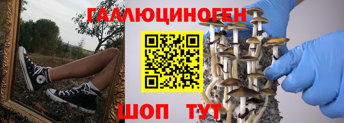Псилоцибиновые грибы GOLDEN TEACHER  Галлюциногенные грибы GOLDEN TEACHER  Вход с VPN  Ишим 