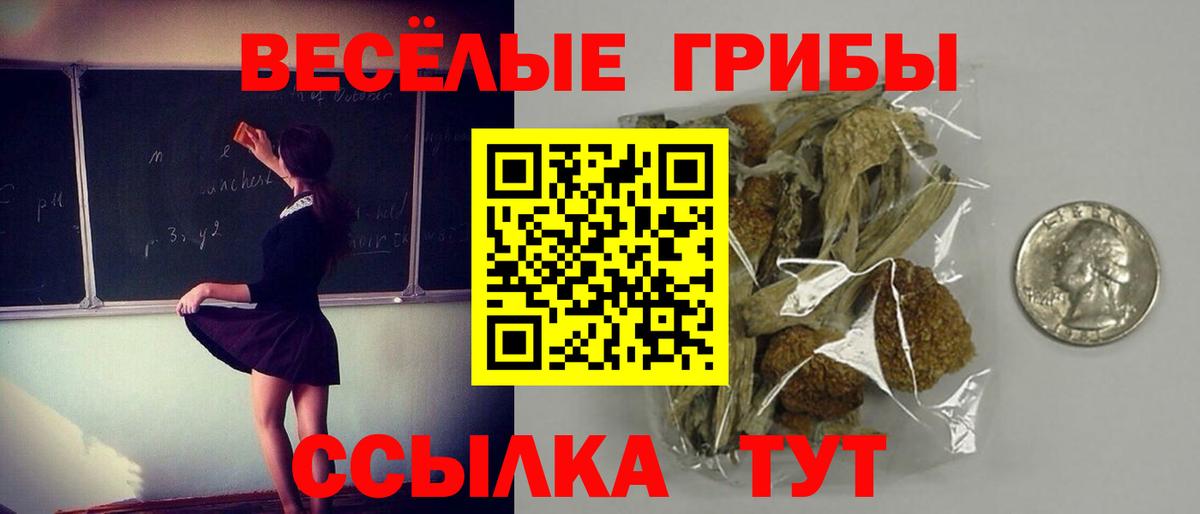 Псилоцибиновые грибы MAGIC MUSHROOMS Ишим