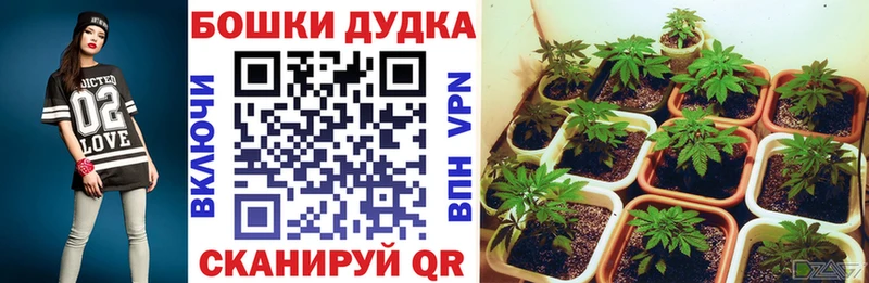 Канабис White Widow  Ишим 